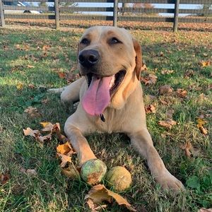 Meet your Posher, Kaitlyn